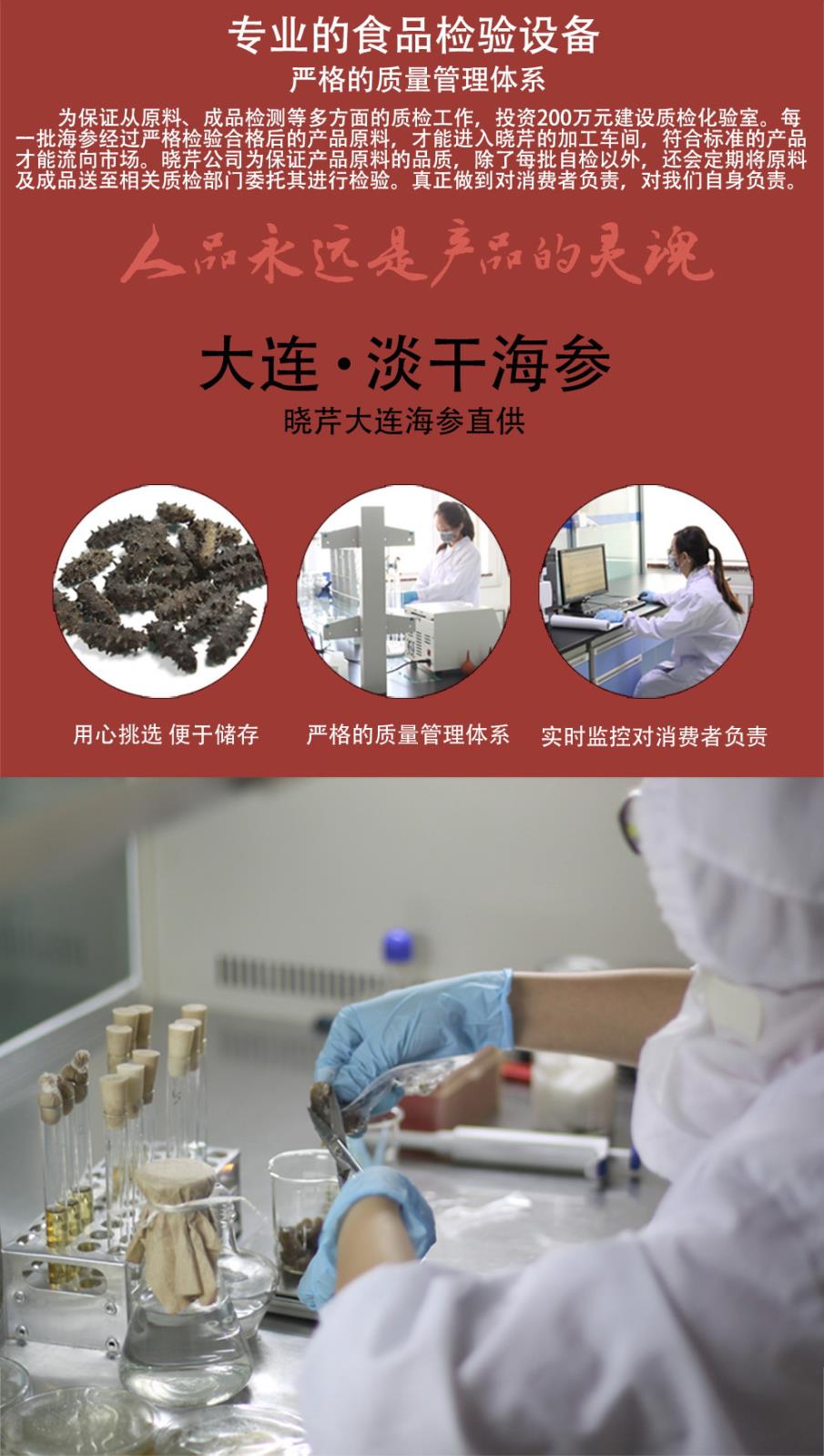 海參,速發(fā)干海參,大連海參,曉芹海參,海參品牌,遼刺參,海鮮水產