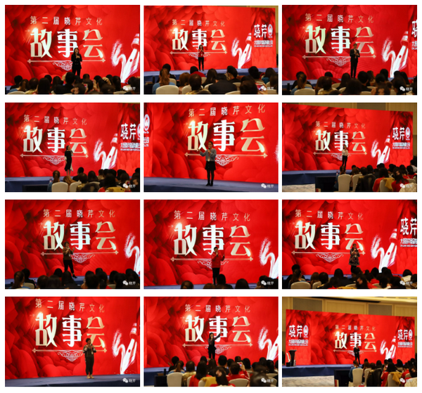 曉芹,海參,曉芹文化,曉芹海參,故事會 曉芹,海參,曉芹文化,曉芹海參,故事會