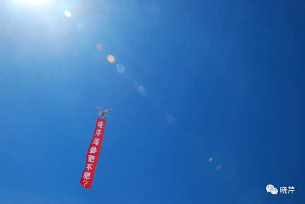 曉芹,海參,曉芹文化,曉芹海參,故事會 曉芹,海參,曉芹文化,曉芹海參,故事會