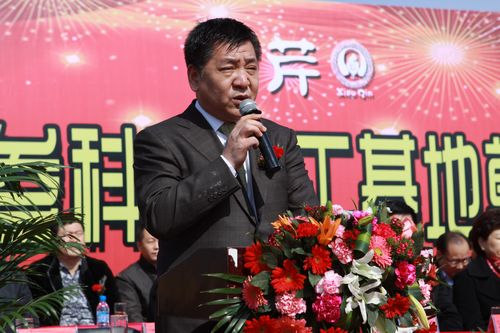 曉芹,海參,大連海參,曉芹海參 曉芹,海參,大連海參,曉芹海參