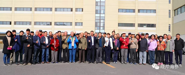 海參,曉芹海參,大連海參.jpg 海參,曉芹海參,大連海參.jpg