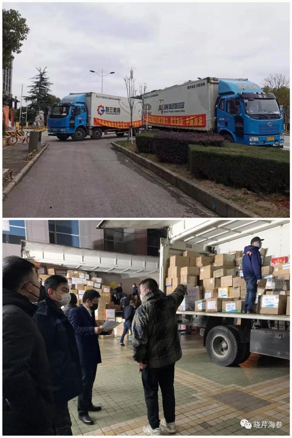 海參肽,大連海參,曉芹海參,海參,抗擊疫情,疫情,獻愛心.jpg 海參肽,大連海參,曉芹海參,海參,抗擊疫情,疫情,獻愛心.jpg