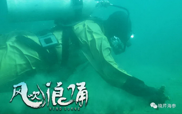 電影,風吹浪涌,創業,大連海參,曉芹海參,海參.jpg 電影,風吹浪涌,創業,大連海參,曉芹海參,海參.jpg