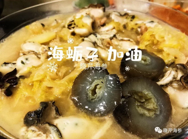 海參肽,大連海參,曉芹海參,海參,抗擊疫情,疫情,獻愛心.jpg 海參肽,大連海參,曉芹海參,海參,抗擊疫情,疫情,獻愛心.jpg